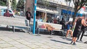 Vor allem im Sommer geraten Gruppen von Drogenkranken oder Obdachlosen in den Fokus der ...