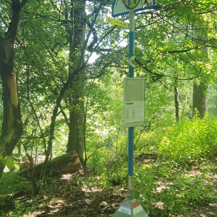 Betonsockel, Mast und Fahrplan: Alles ist dabei.