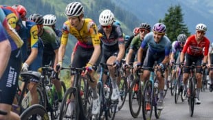 Das Peoloton rollt 2026 zum 75. Mal im Rahmen der Tour of Austria durch die Alpenrepublik. 