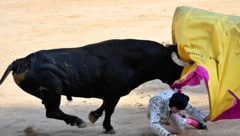 Zum Abschluss des diesjährigen Stierlaufs in Spanien wurden wieder drei Menschen verletzt.