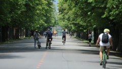 In der Prater-Hauptalle können die Kastanien inzwischen nur noch dank der Behandlung mit ...
