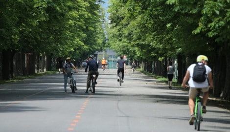 In der Prater-Hauptalle können die Kastanien inzwischen nur noch dank der Behandlung mit ...