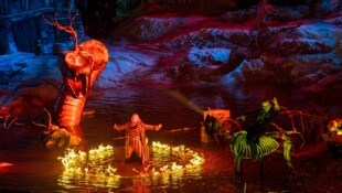 Nach 90 Minuten war Schluss auf der Seebühne. 