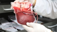 Das Rote Kreuz bietet im Sommer Blutspenden an besonderen Orten an.
