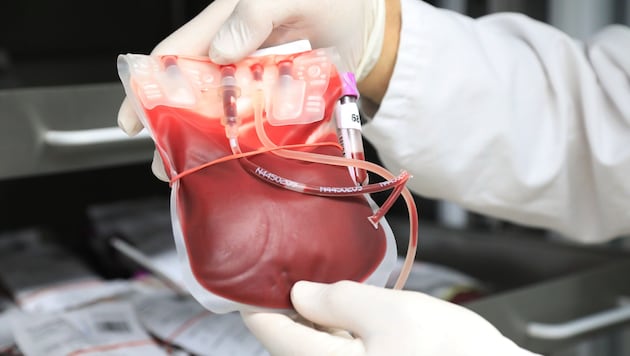 Das Rote Kreuz bietet im Sommer Blutspenden an besonderen Orten an.