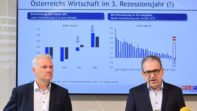 Industrie-Befund: Bei WK-Spartengeschäftsführer Wolkenstein (links) und Obmann Wex herrschten ...