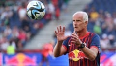 Einer der treuesten Bullen: Herbert Ilsanker.