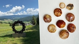 In Guttaring können sogenannte Nummuliten gefunden werden