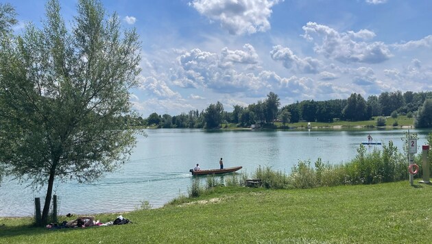 Am Pleschinger See kam es zu dem schmerzhaften Zwischenfall.