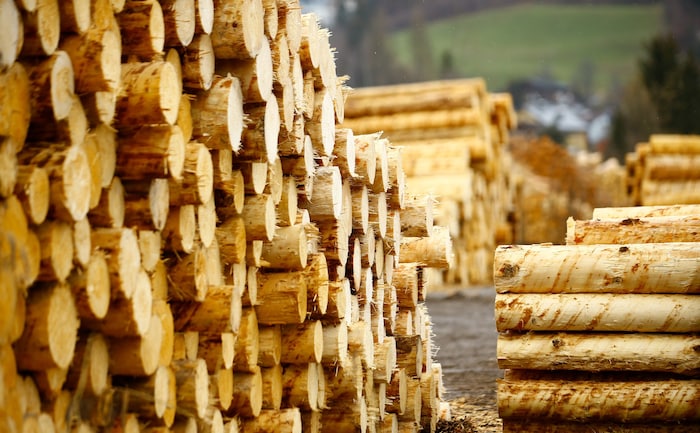 Holz und Pharmaprodukte aus Niederösterreich konnten bei den Exporten trotz negativer ...