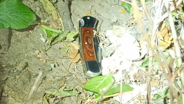 Ohne ersichtlichen Grund randalierten zwei Männer vor einem Wiener Imbiss – einer der beiden zog ...