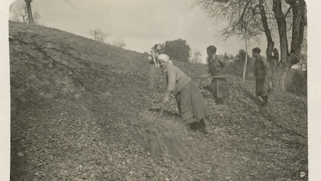 Streurechen im Lavanttal in den 1920er bis 1930er Jahren.