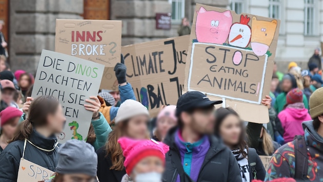 „Fridays for Future“-Demo in Innsbruck, auch hier waren Plakate in allen Variationen zu sehen.