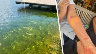 Das Hochwasser im Juni des Vorjahres hat seine Spuren am Badesee Burg hinterlassen. Seehaus- ...