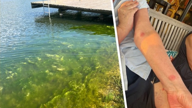 Das Hochwasser im Juni des Vorjahres hat seine Spuren am Badesee Burg hinterlassen. Seehaus- ...