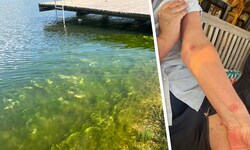 Das Hochwasser im Juni des Vorjahres hat seine Spuren am Badesee Burg hinterlassen. Seehaus- ...