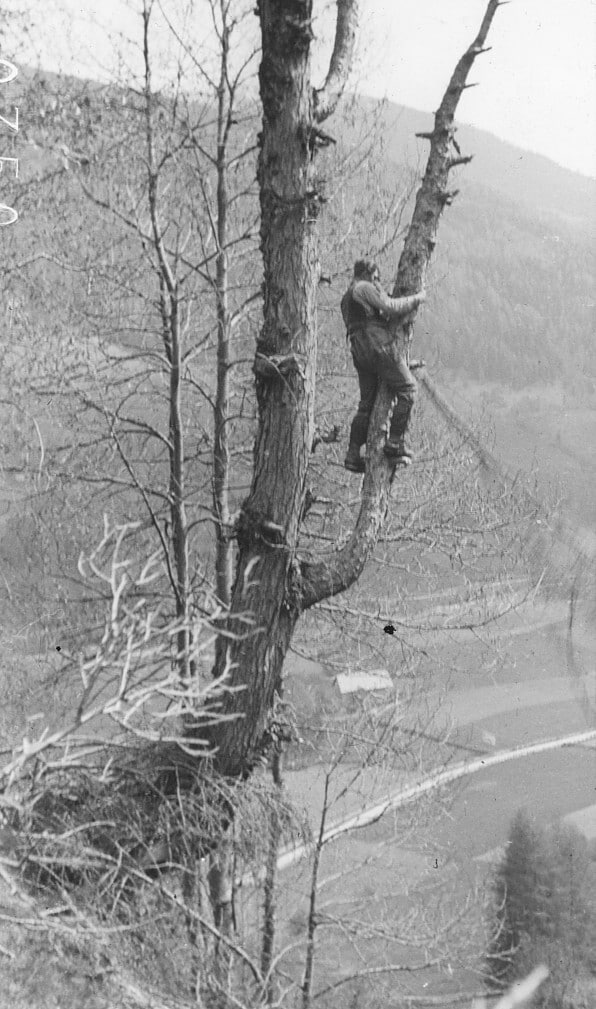 Schneiteln im Katschtal, im ersten Drittel des 20. Jahrhunderts.