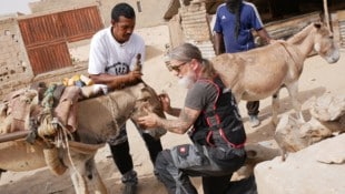 Tom Putzgruber hat mit dem Verein „RespekTiere“ vor Ort ein Netzwerk aufgebaut, damit Eseln ...