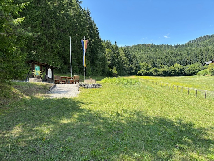 Auf dieser Wiese in Guttaring findet man kleine Fossilien.