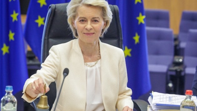 Ursula von der Leyen stellt sich auf harte Verhandlungen mit den Staaten ein.