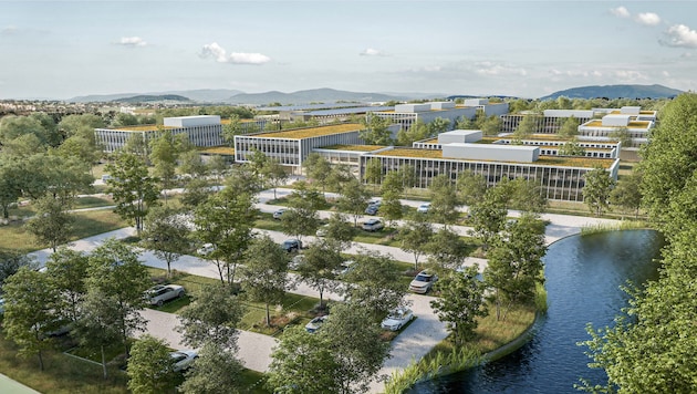 Viel Grün, einzelne Gebäude, Fußwege und eine interne Verkehrsachse: Das geplante ...
