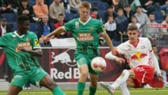 Dominic Vincze