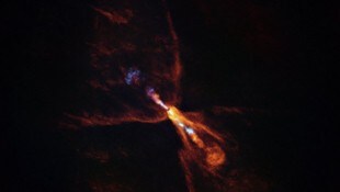 Junge Sterne sind von massiven Gas- und Staubringen umgeben, sogenannten protoplanetaren ...