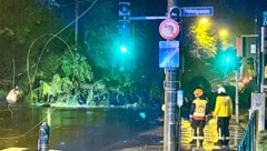 Ein Baum fiel in der Stadt Salzburg auf die Aigner Straße – mit schweren Folgen.