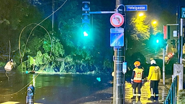 Ein Baum fiel in der Stadt Salzburg auf die Aigner Straße – mit schweren Folgen.
