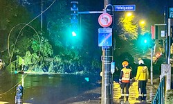 Ein Baum fiel in der Stadt Salzburg auf die Aigner Straße – mit schweren Folgen.