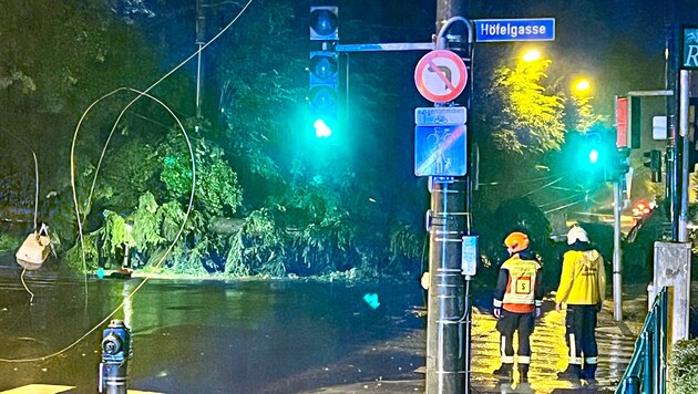 Ein Baum fiel in der Stadt Salzburg auf die Aigner Straße – mit schweren Folgen.