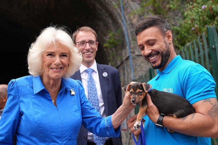 Camilla besuchte zwei Tage vor ihrem Geburtstag ein Londoner Tierheim und kuschelte dort mit den ...