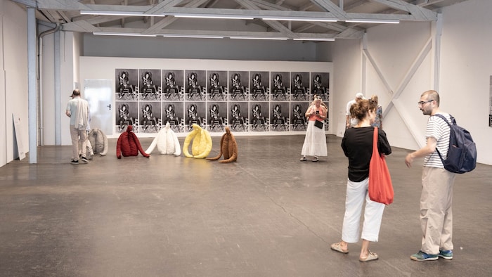 Kunsthalle Blaue Butter: Vaginas aus Stoff, Beitrag der Kunstuni Linz und dahinter die Fotoserie ...