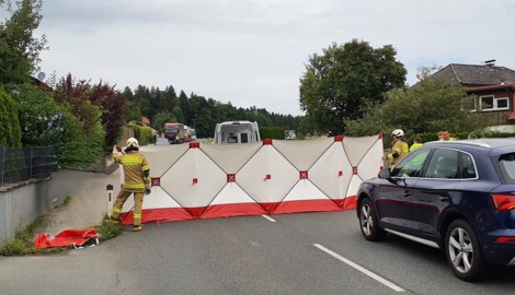 Die Freiwillige Feuerwehr Seekirchen war vor Ort im Einsatz.