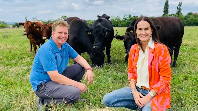 Maggie Entenfellner sprach mit Experten Norbert Hackl vom Bio-Landgut Esterhazy über den ...