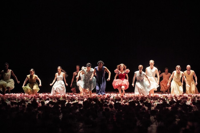 Im Nelkenregen: das Tanztheater Wuppertal