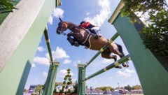 Rund um den Springreitsport gibt es ein neues Urteil, das für Aufregung in der Szene sorgt. 