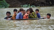 Die Lebensmittel hätte USAID an Kinder verteilen sollen.