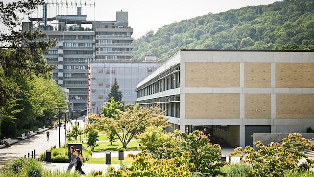 Bei den Studenten haben die Frauen an der JKU die Nase vorne, bei den Lehrenden das klare ...