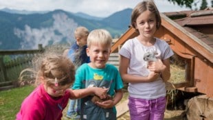 Zum Irxnerhof in Schladming kommen viele Familien mit Kindern.