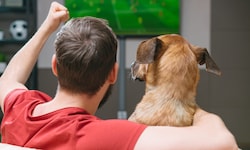 Fernsehinhalte könnten Hunde möglicherweise ergänzend beschäftigen, etwa in Tierheimen oder bei ...