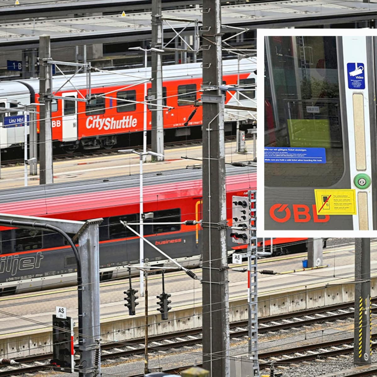 Dai amadeo erome i came across Viaras feedback while in