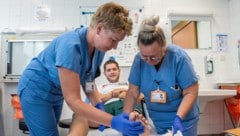 Typische „Sommerunfälle“: Motorradstürze, Verletzungen am Trampolin, Bienen- und Wespenstiche ...