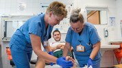 Typische „Sommerunfälle“: Motorradstürze, Verletzungen am Trampolin, Bienen- und Wespenstiche ...
