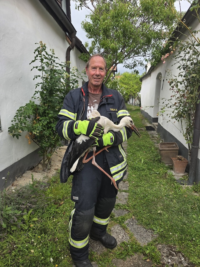 Die Feuerwehr Breitenbrunn brachte auch einen geretteten Jungstorch ins Tierheim Parndorf.