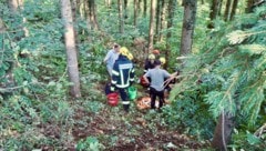 Das Tier stürzte in schwer zugängliches Gebiet.