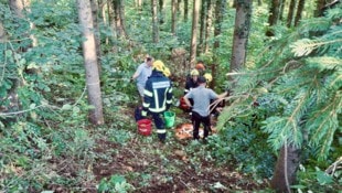 Das Tier stürzte in schwer zugängliches Gebiet.