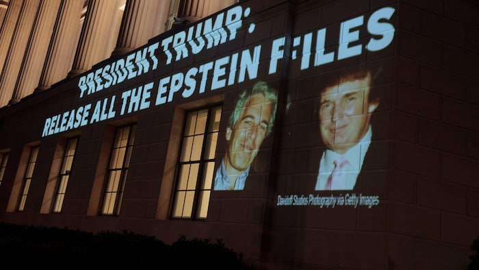 Trump hatte im Wahlkampf versprochen, die Epstein-Akten offenzulegen.