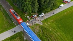 Der Klein-Lkw wurde in die Wiese geschleudert, Lenker und Beifahrer wurden verletzt.