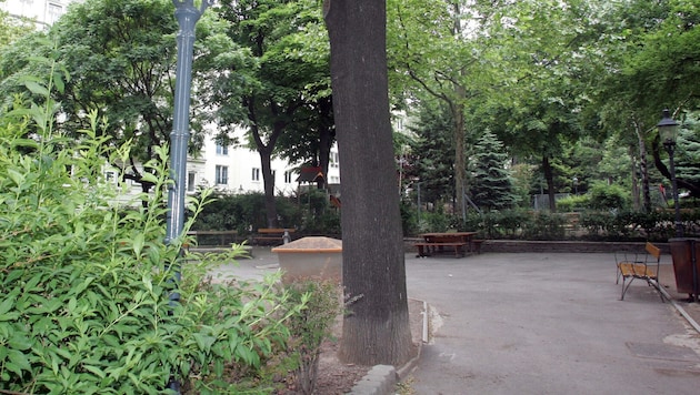 Ende Juni war ein Obdachloser im Wiener Loquiapark (Bild) zu Boden gestoßen worden. Nun konnte ...